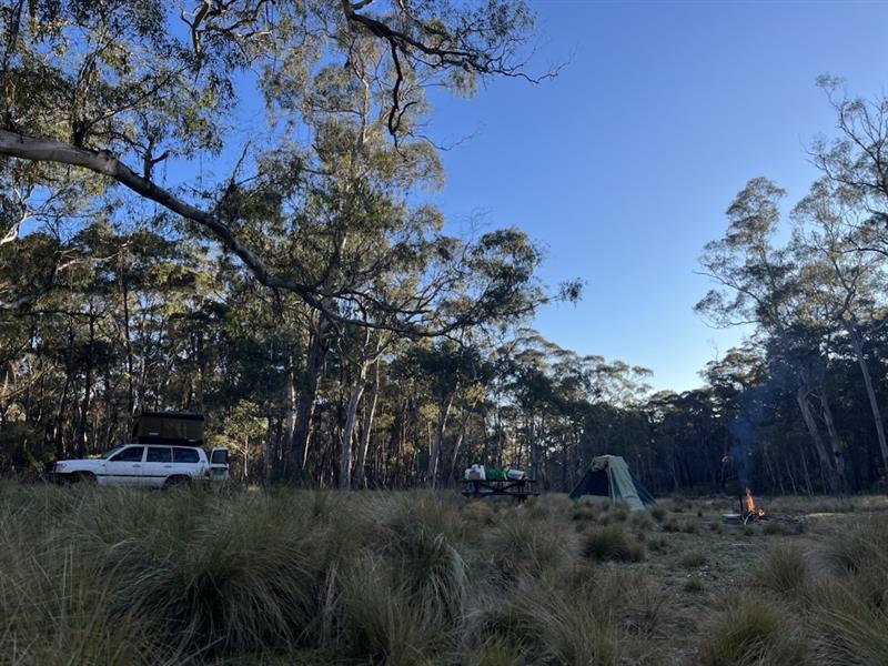 landscape image of australian bush with 4WD and tents
